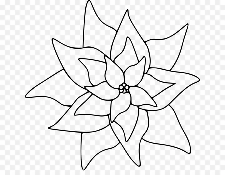 Doodle De Flor，Preto E Branco PNG