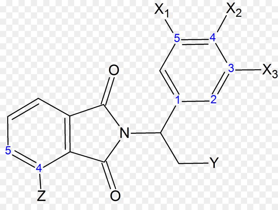 Talidomida，Fosfodiesterase PNG