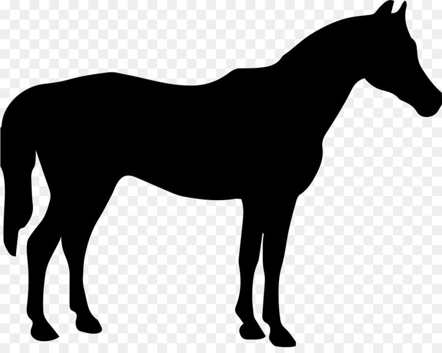 Cavalo，Equino PNG