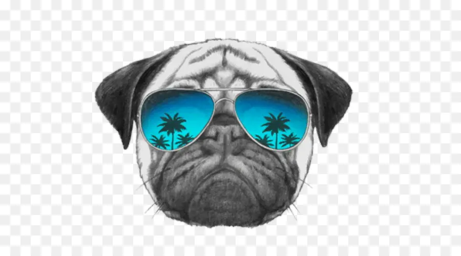 Pug Com óculos De Sol，Cachorro PNG