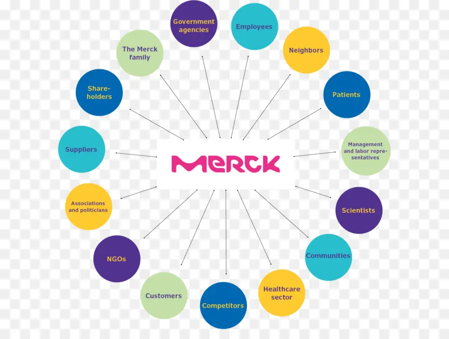 Merck，Partes Interessadas PNG