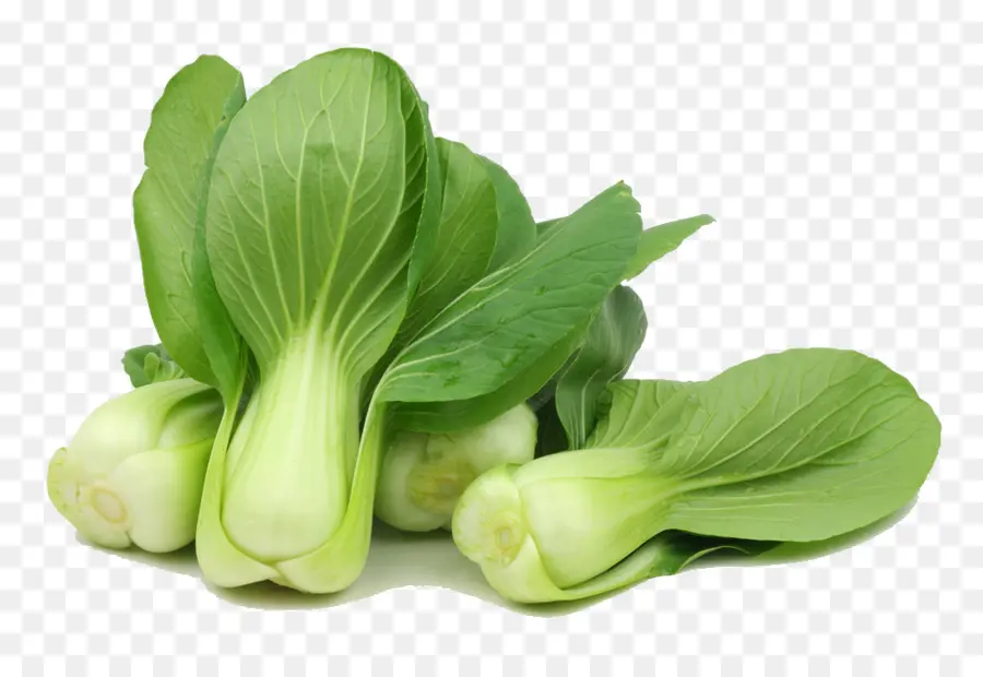 Bok Choy，Verde PNG