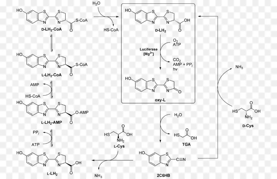 Reação Química，Química PNG