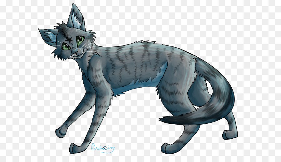 Gato Azul，Felino PNG