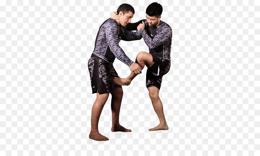 Legítima Defesa，Artes Marciais Mistas PNG