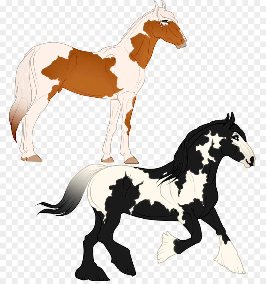 Cavalos，Potro PNG