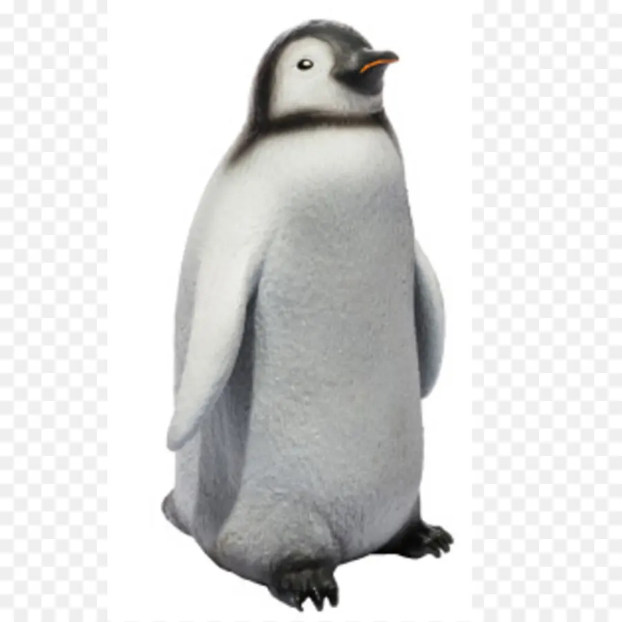 Pinguim，Pássaro PNG