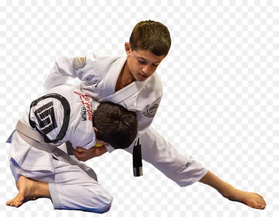 Brasileiro De Jiujitsu，Karate PNG