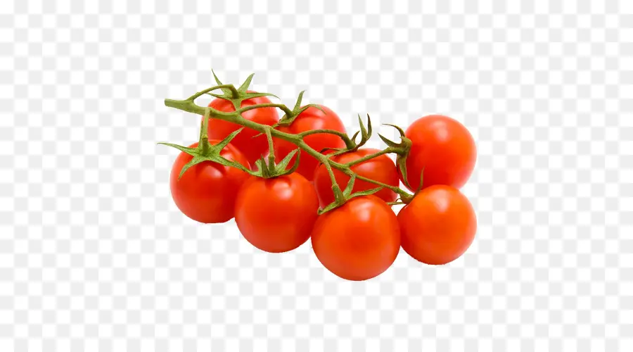 Tomate Cereja，Bruschetta PNG