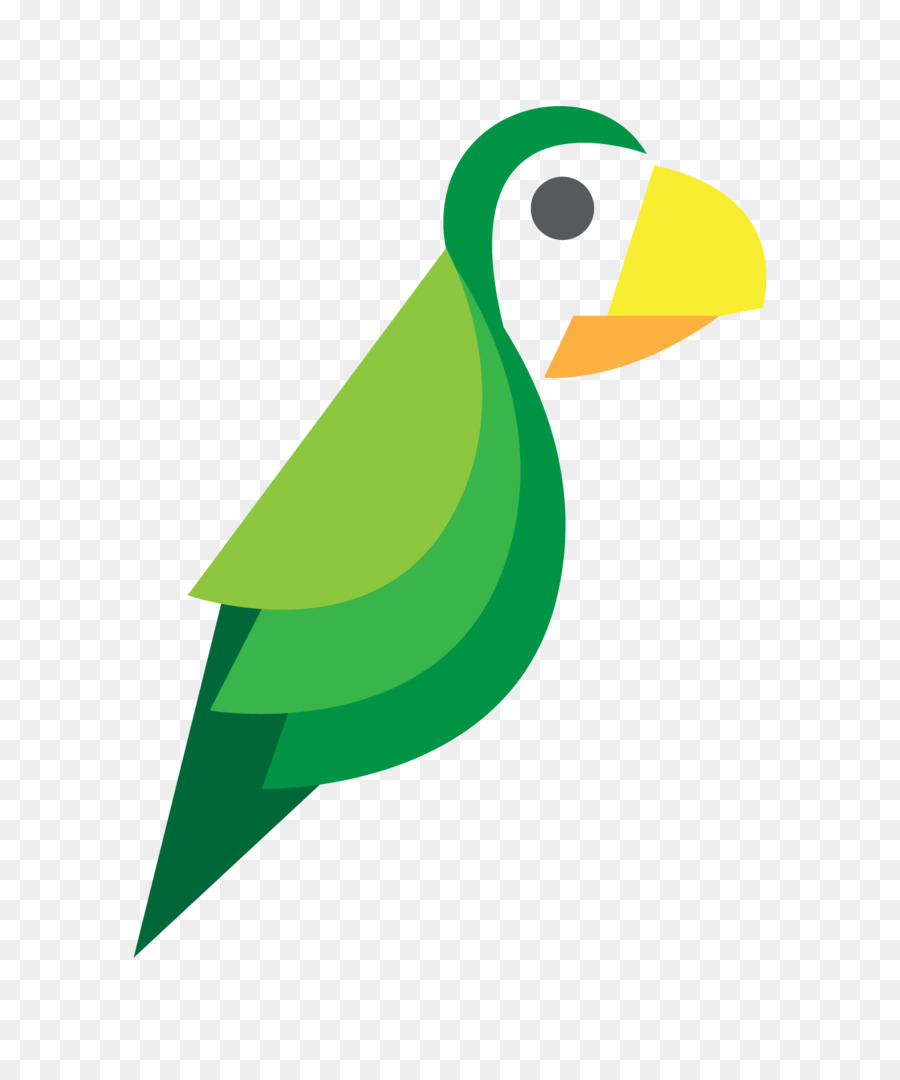 Papagaio，Verde PNG