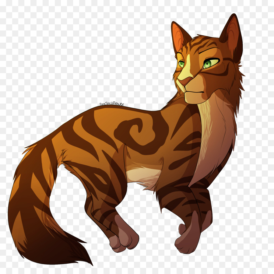 Bigodes Gato de pêlo curto doméstico Paw Snout, desenhos de gatos realistas,  marrom, mamífero png