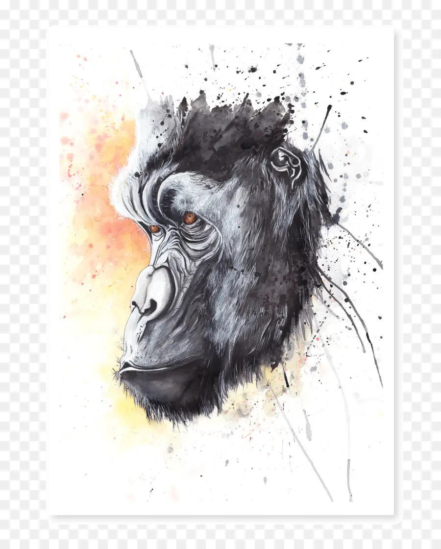 Gorila，Pintura Em Aquarela PNG
