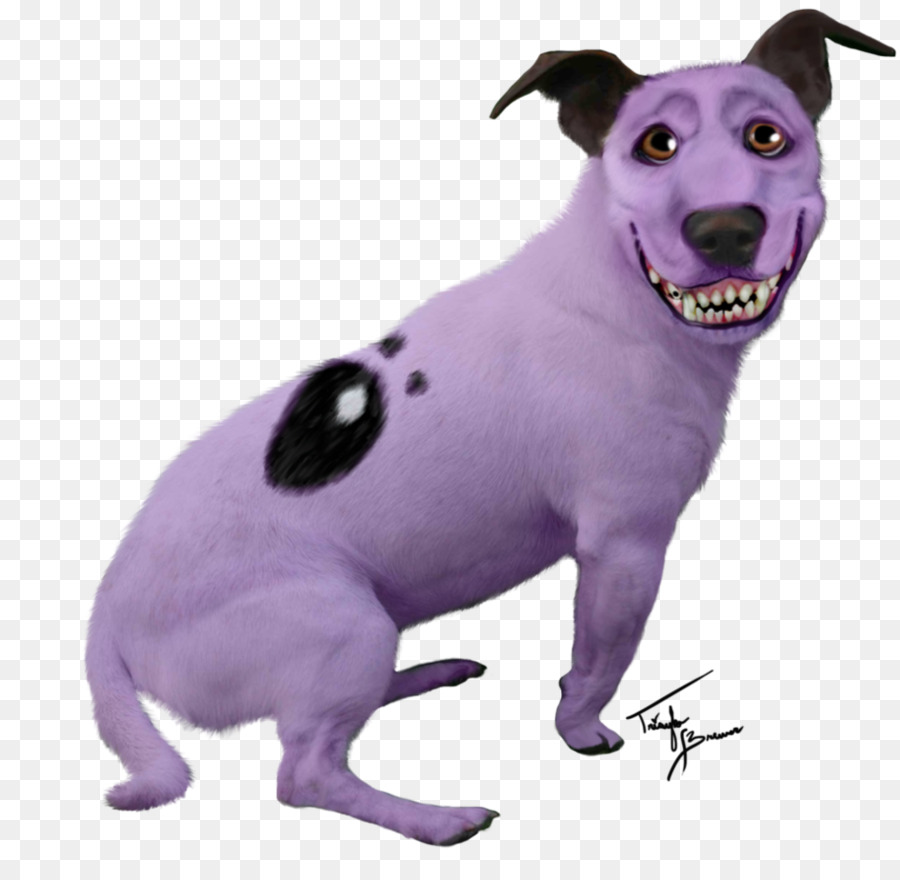 Cachorro Roxo，Animal PNG