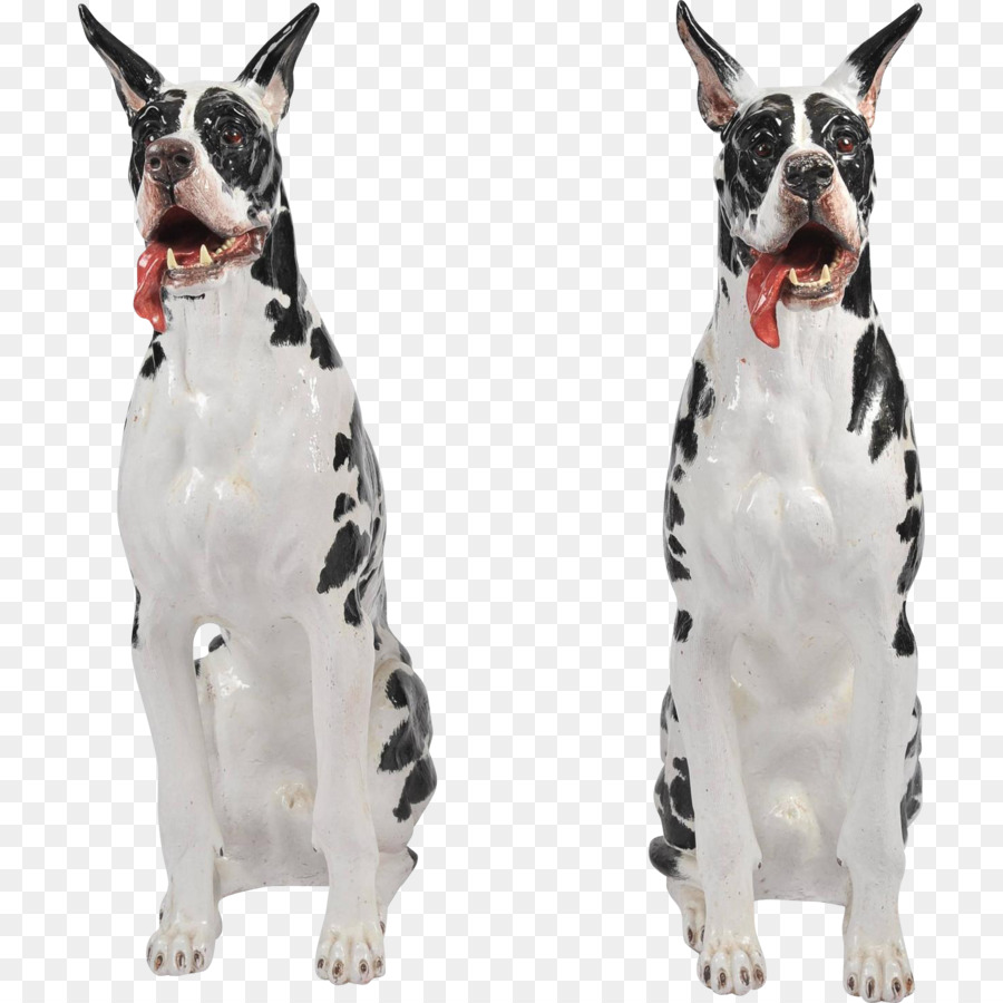 Great Dane，Boston Terrier PNG