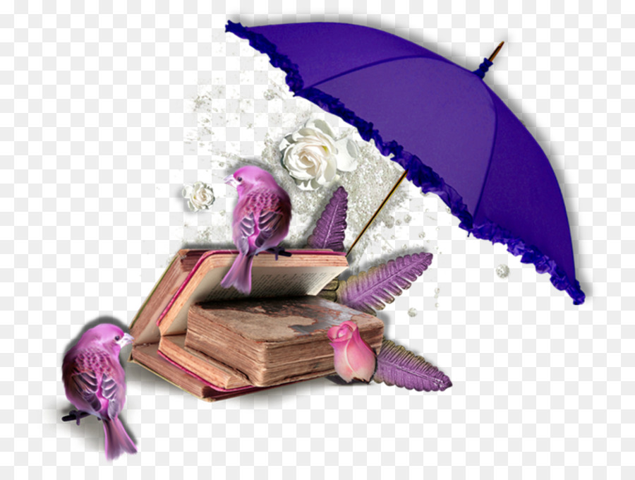 Guarda Chuva E Livros，Chuva PNG