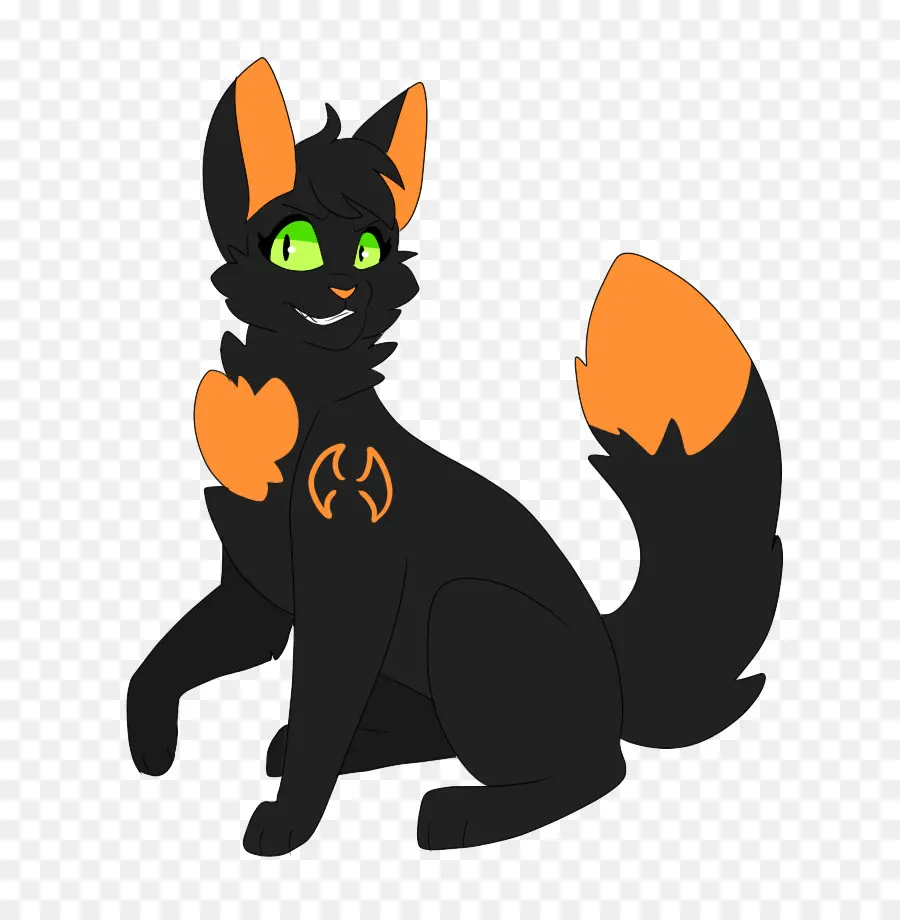 Gato Preto E Laranja，Gato PNG