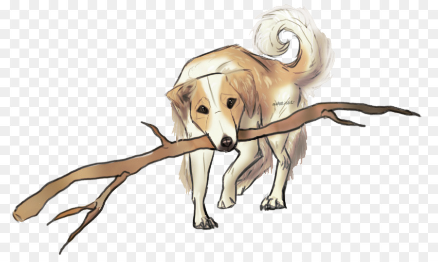 Raça Do Cão，Saluki PNG