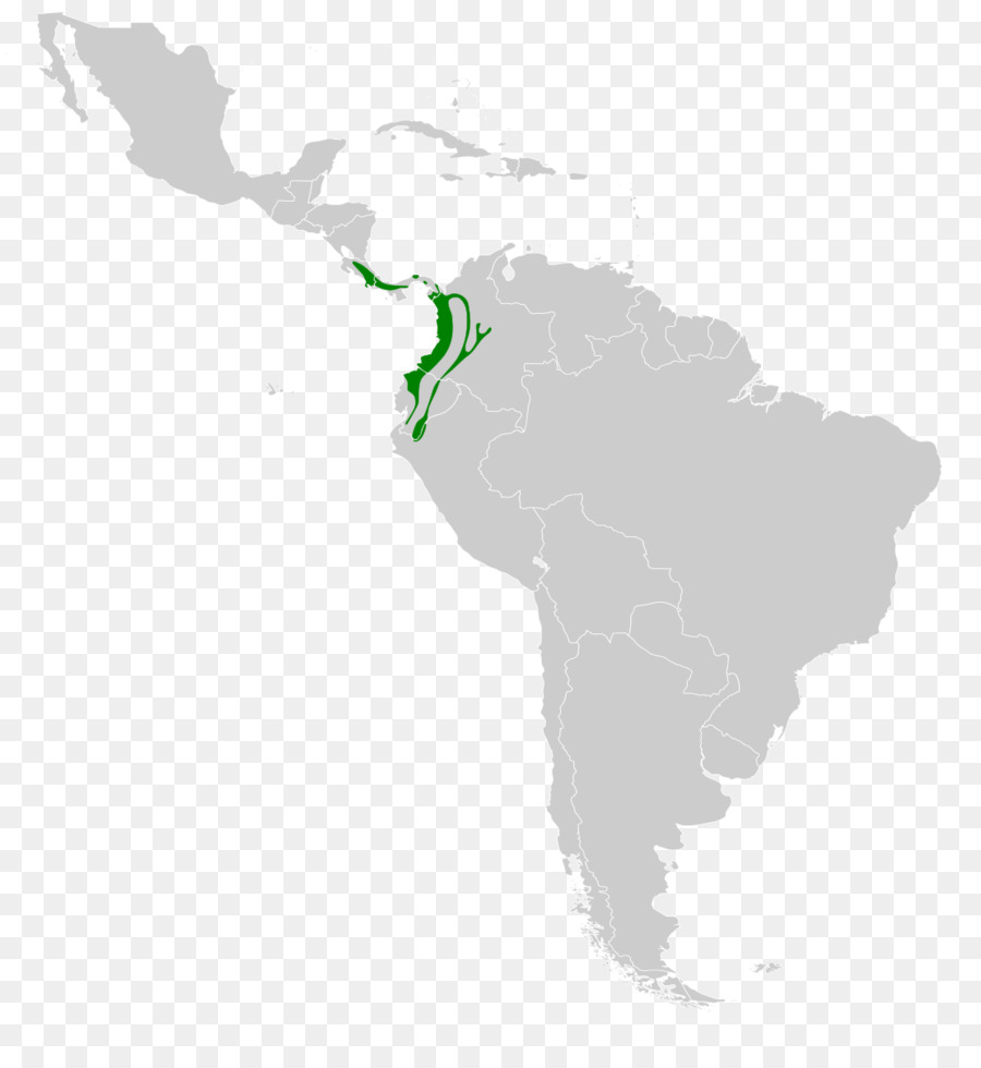 Mapa Da América Do Sul，Continente PNG