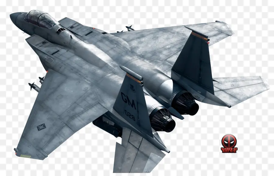 Ace Combat 6 Fogos De Libertação，Ace Combat Assault Horizon PNG