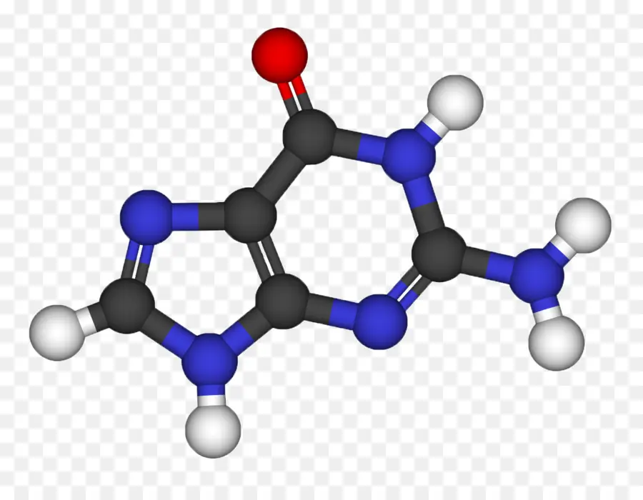 Estrutura Molecular，Molécula PNG