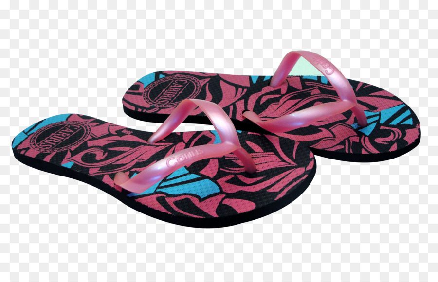 Flip Flops，Chinelo PNG