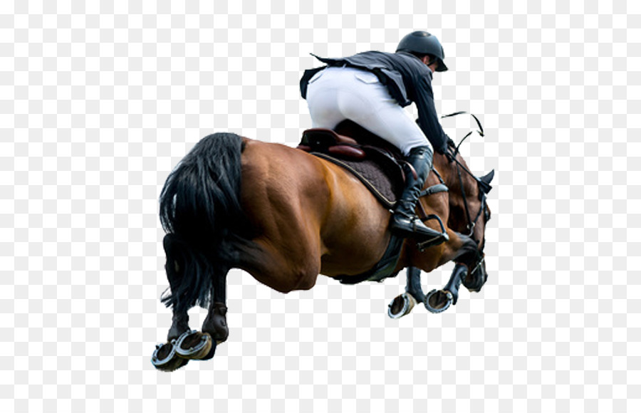 Salto De Cavalo，Equestre PNG