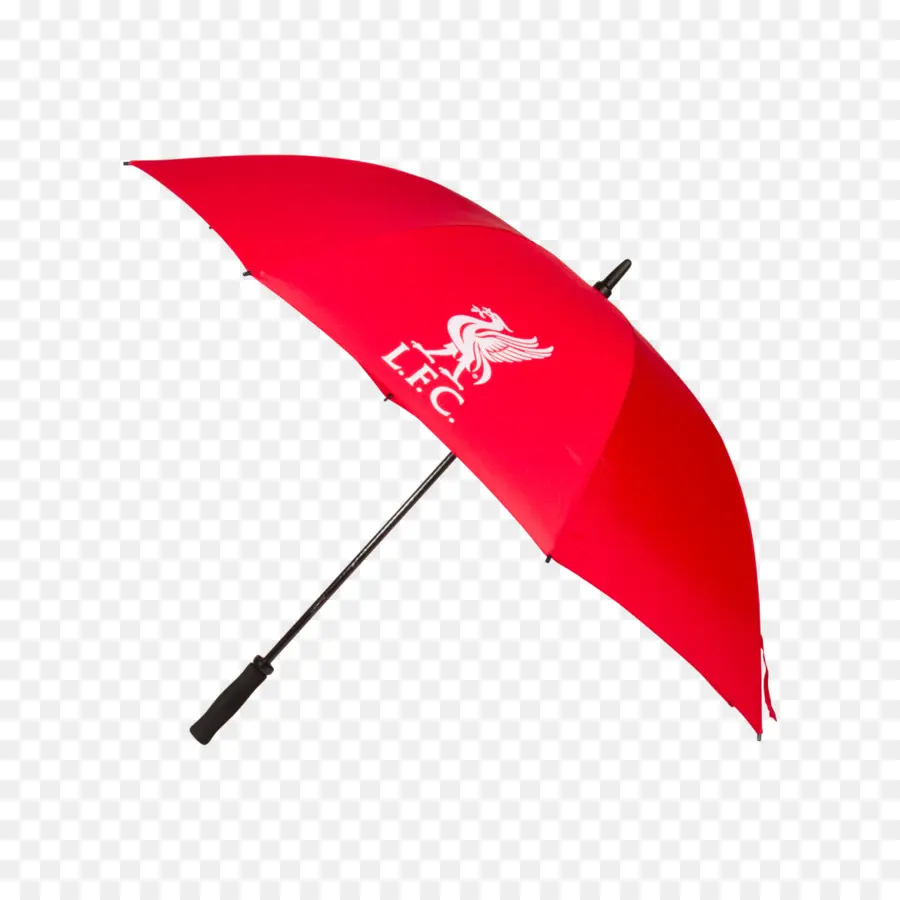 Guarda Chuva，Chuva PNG