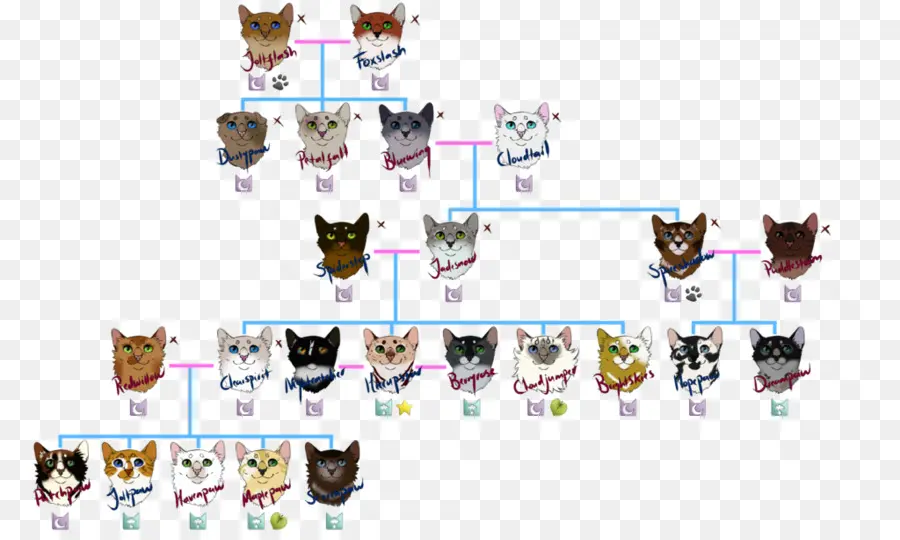 Árvore Genealógica Dos Gatos，Gatos PNG