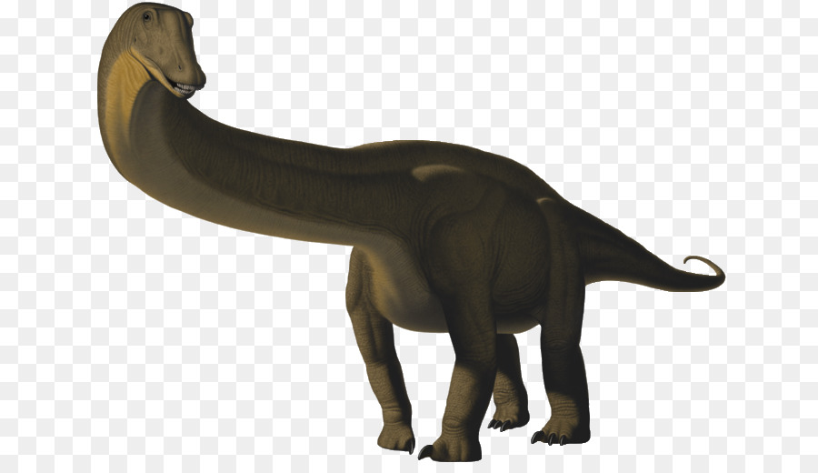 Apatossauro，Brontosaurus PNG