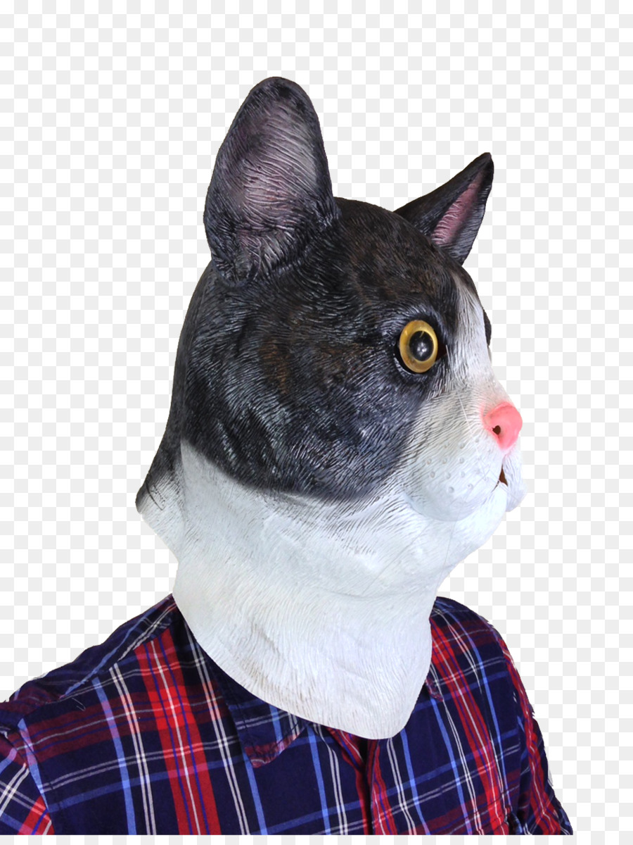 Bigodes，Gato PNG