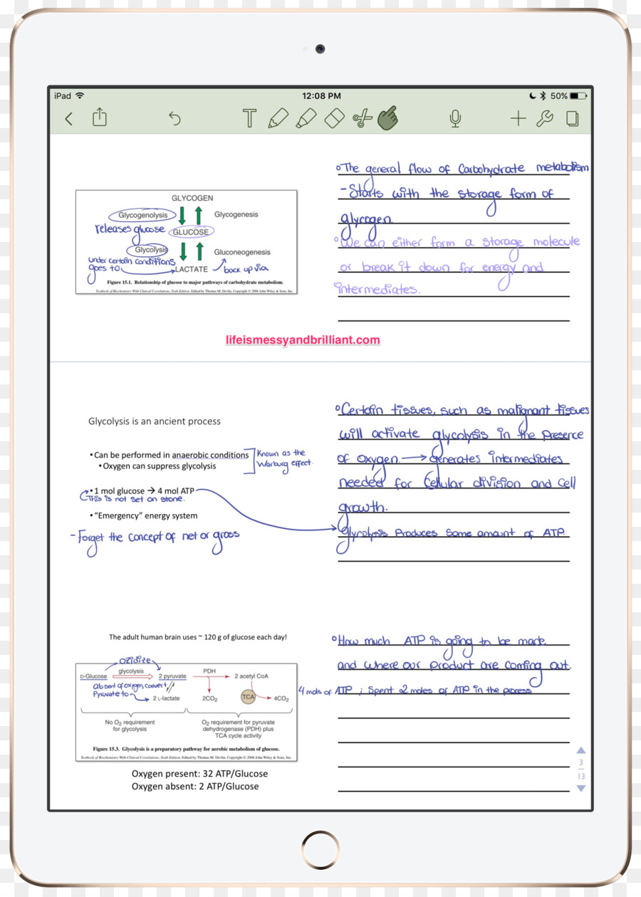 As Anotações，Programa De Computador PNG