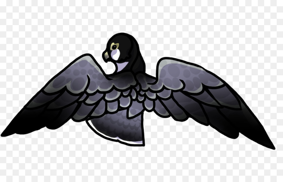 Bico，Aves PNG