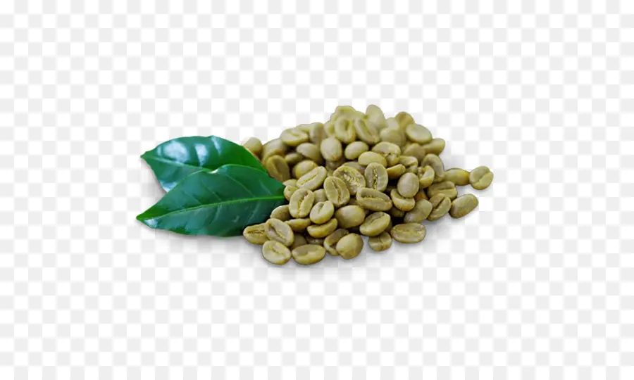 Café，O Chá Verde PNG