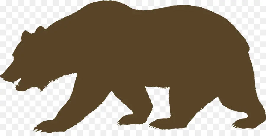 Califórnia Grizzly Bear，Urso PNG