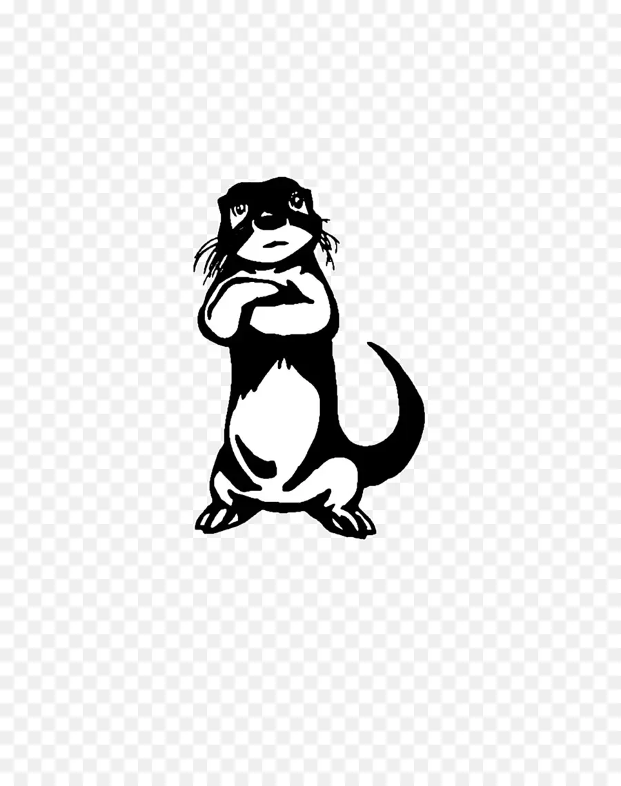 Lontra Em Pé，Animal PNG