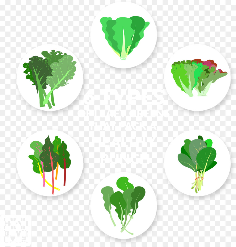 Folha Vegetal，Folha PNG