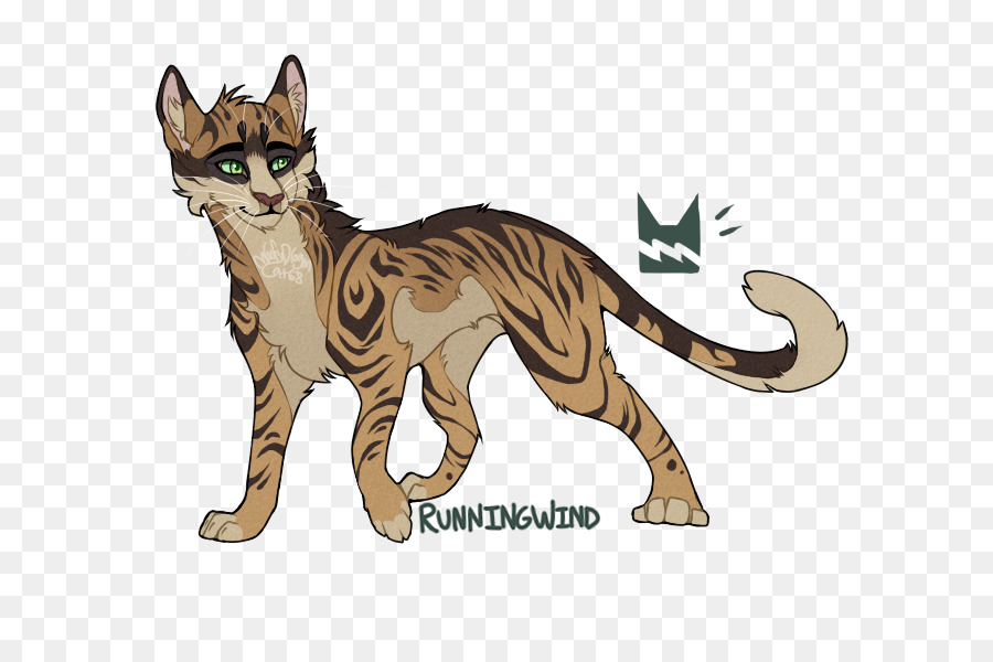 Gato，Felino PNG