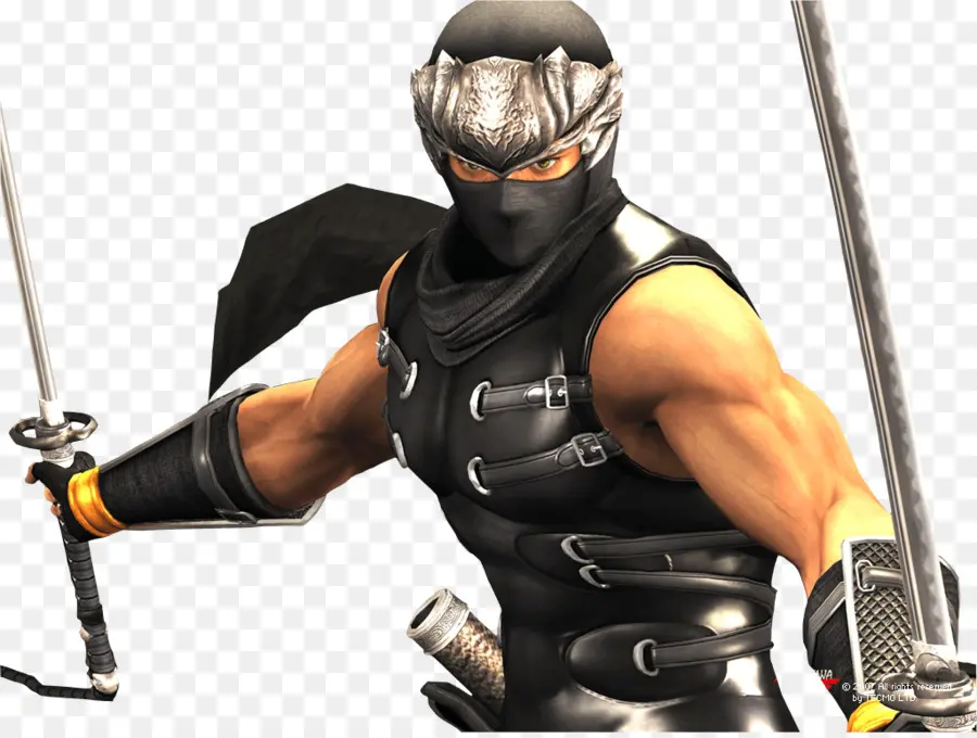 Ninja Gaiden 3，Ninja Gaiden Sigma PNG