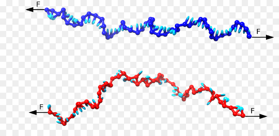 Vírus De Dna，Dna PNG