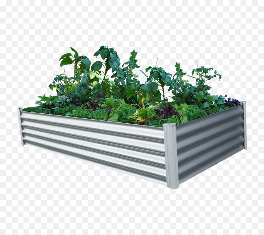 Raisedbed De Jardinagem，Jardim PNG