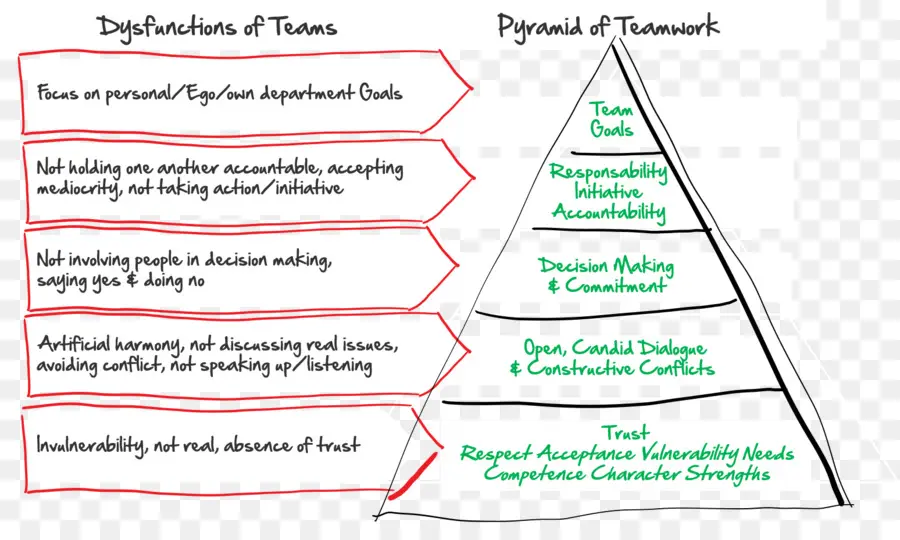 Cinco Disfunções De Uma Equipe，Trabalho Em Equipe PNG