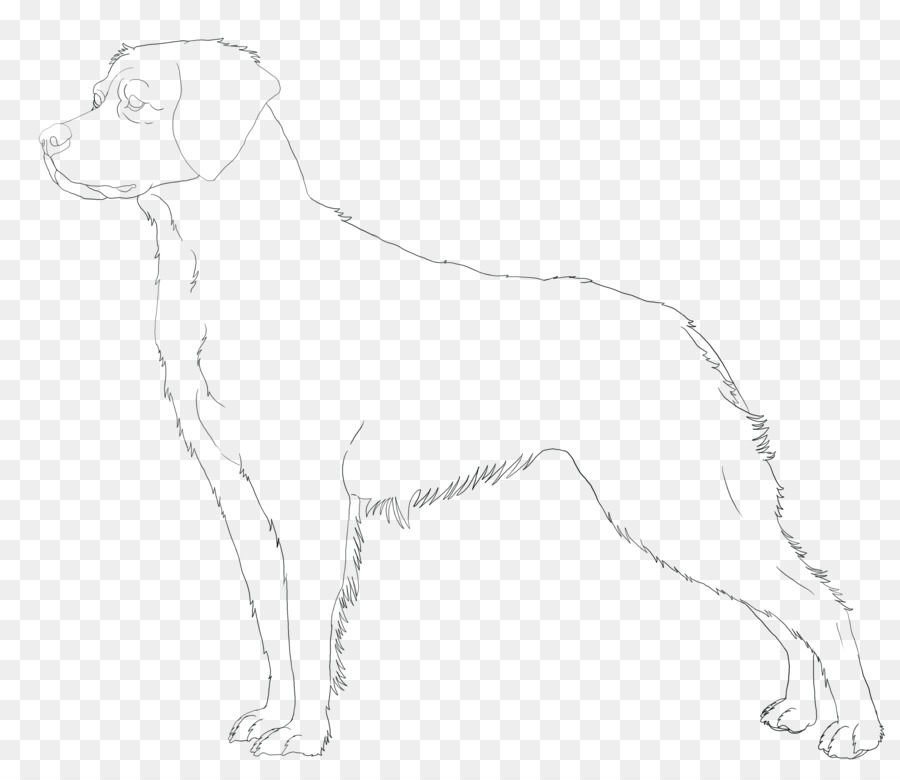 Esboço De Cachorro，Animal PNG