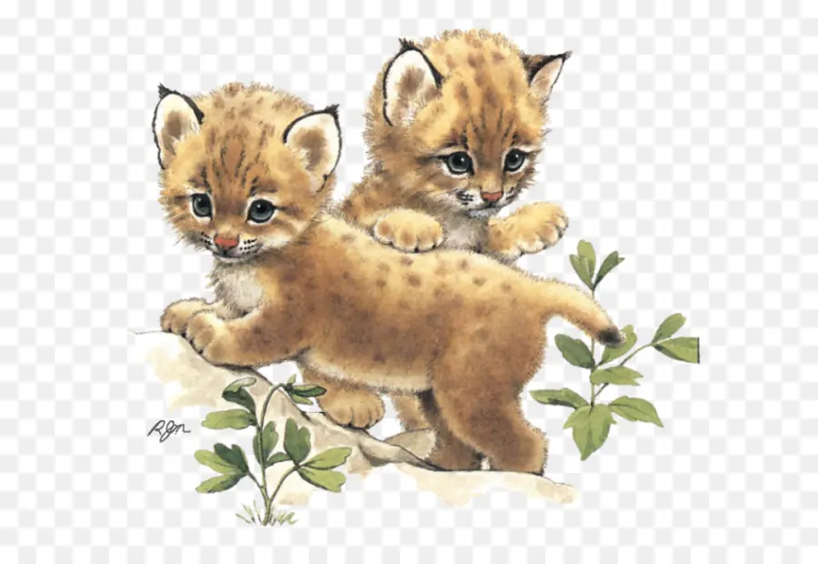 Gatinhos，Gatos PNG