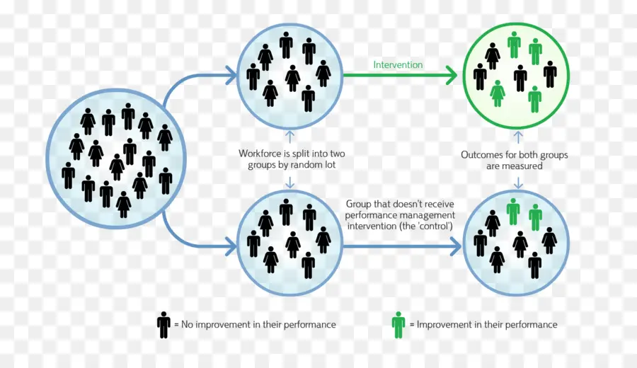 Comportamentais Insights Equipe，Estudo Randomizado Controlado PNG