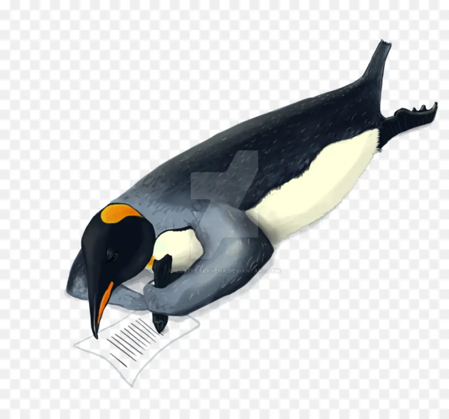 Pinguim，Escrita PNG