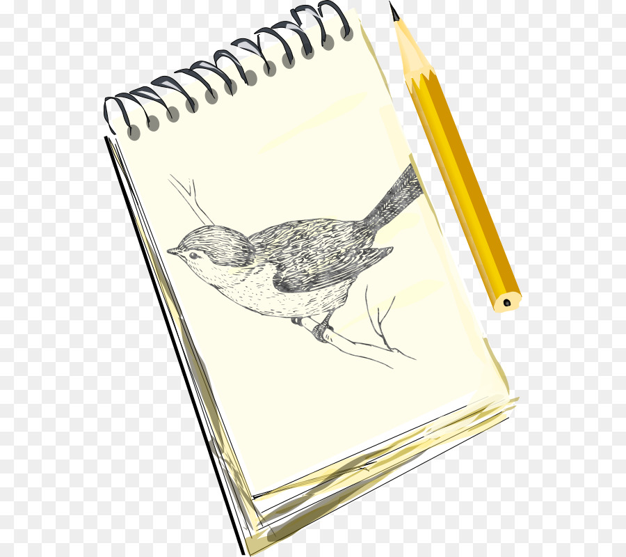 Caderno De Desenho，Pássaro PNG