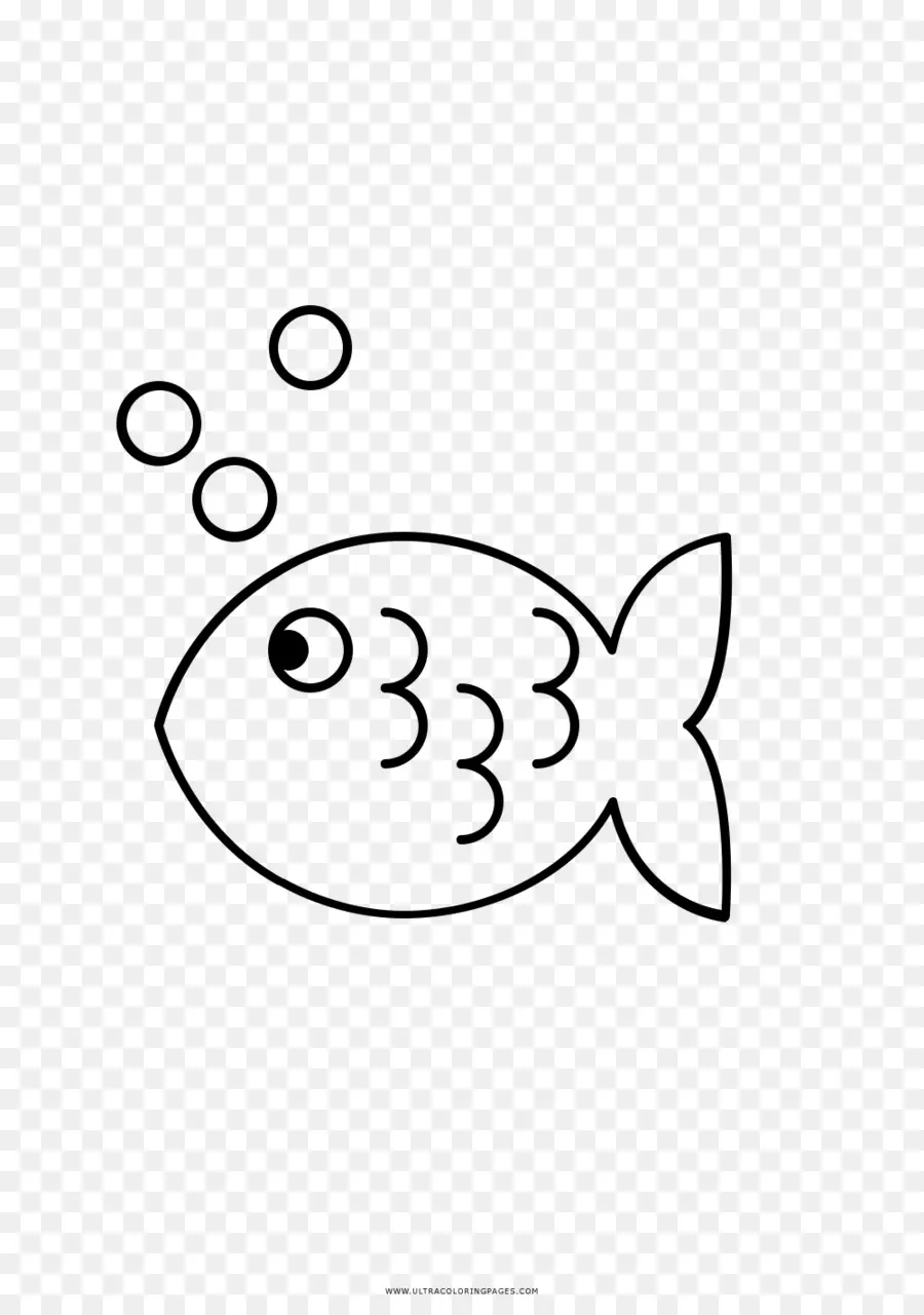 Desenho De Peixe，Bolhas PNG