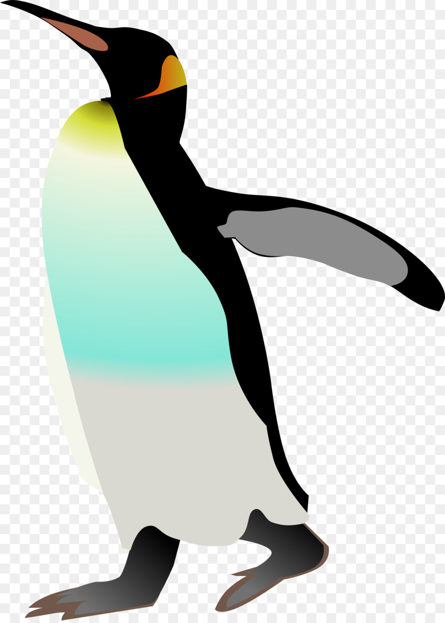 Penguin，Aves PNG