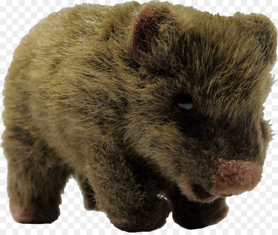 Wombat，Animais De Pelúcia Fofinho Brinquedos PNG