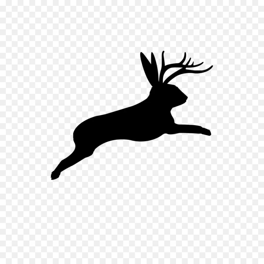 Silhueta Jackalope，Animal PNG